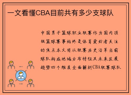 一文看懂CBA目前共有多少支球队